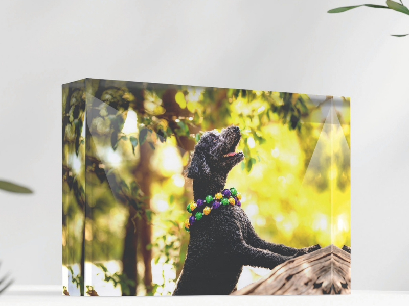 Acrylic Blocks