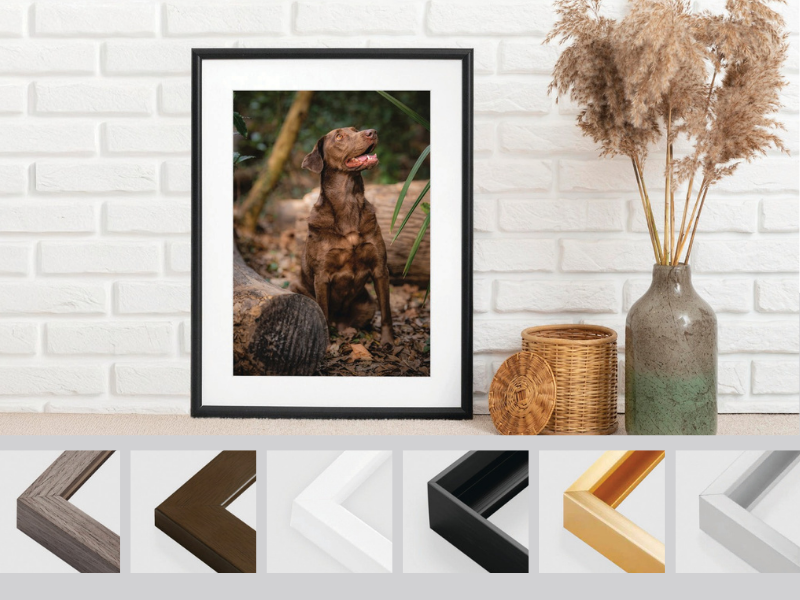 Frame Options