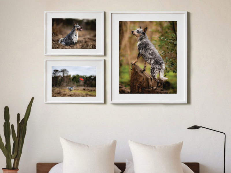 Gallery Walls