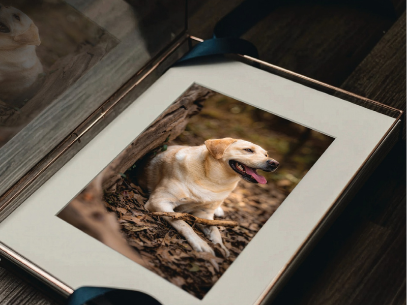 Image Box