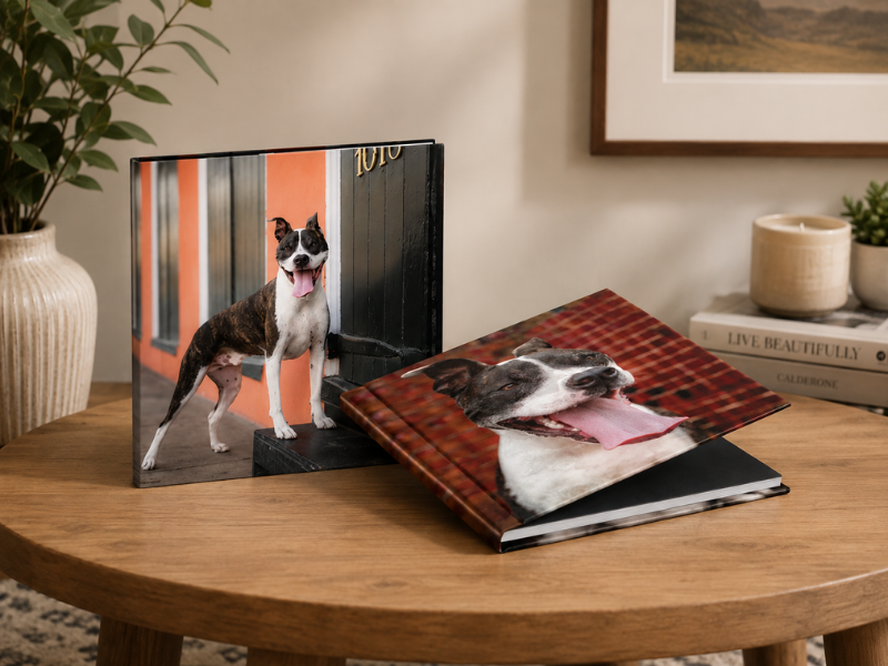 dog Photo Albums on a coffee table