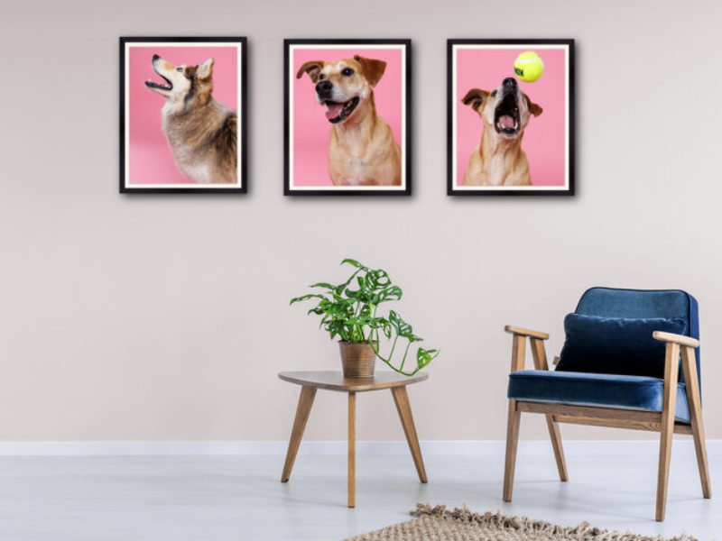 dog photography wall art